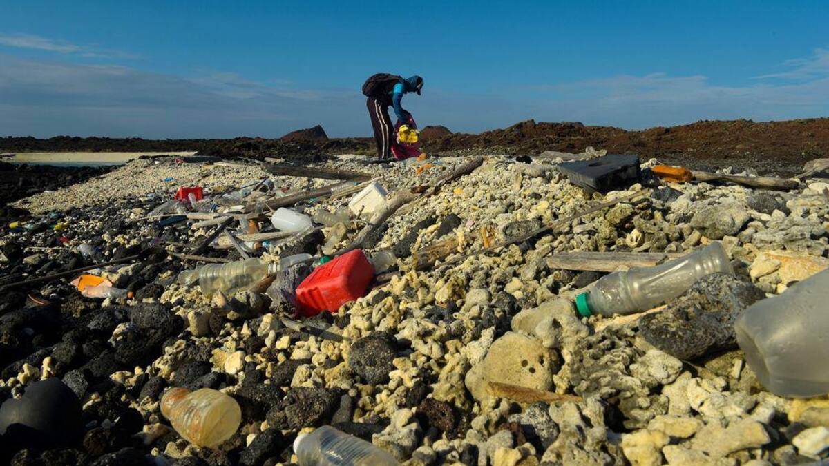 Islas Galápagos. Foto: EFE.