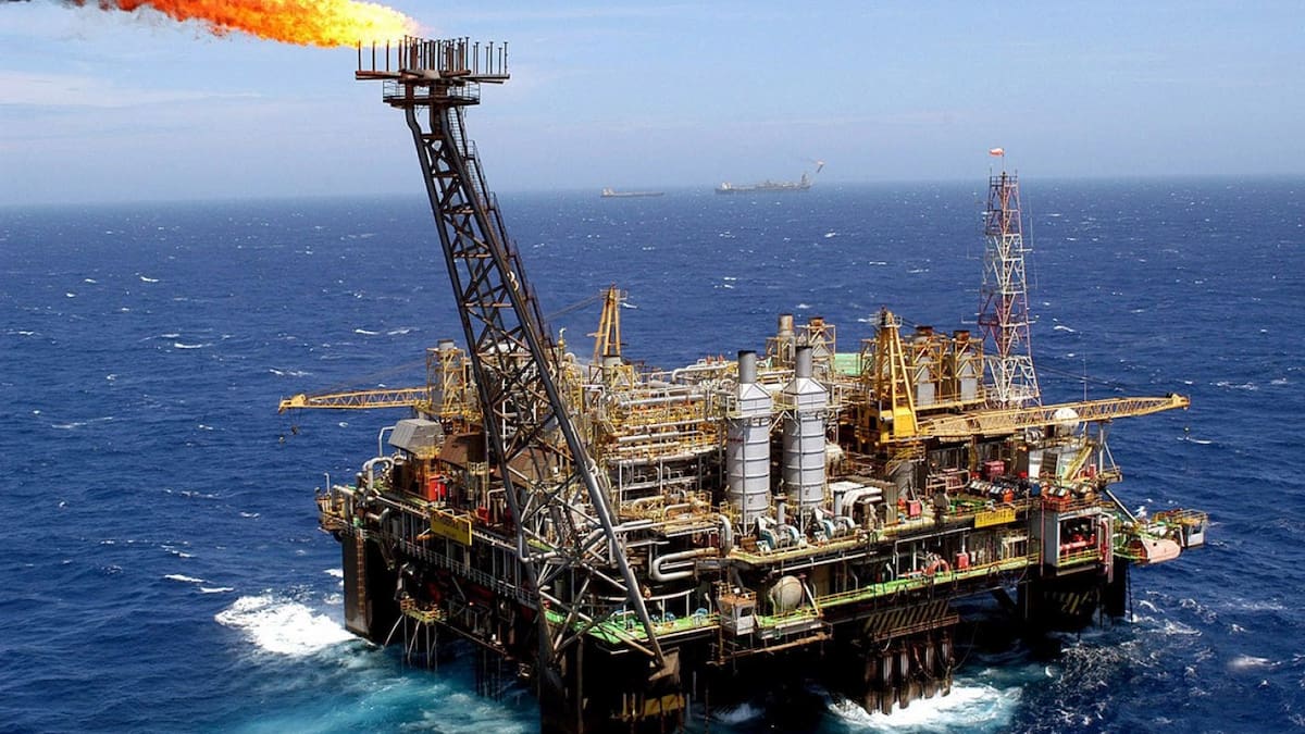 Malvinas: el plan británico para quedarse con el calamar y el petróleo del Atlántico Sur