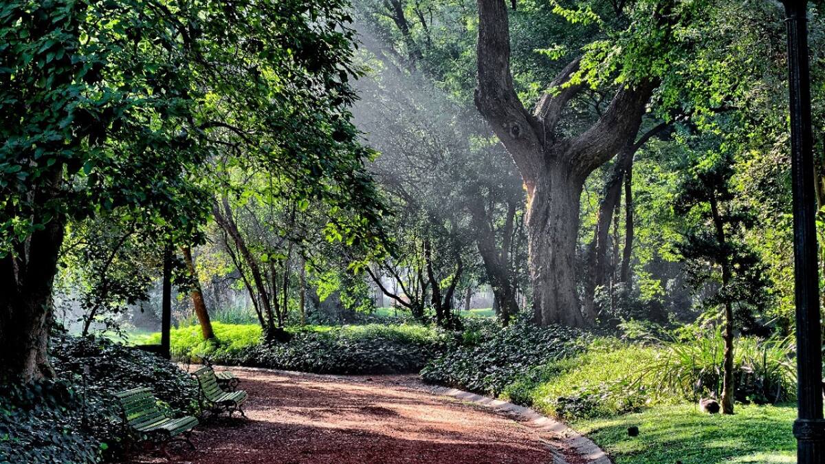 Jardín Botánico Carlos Thays. Foto: Buenos Aires Ciudad.