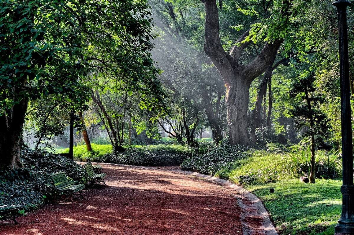 Jardín Botánico Carlos Thays. Foto: Buenos Aires Ciudad.
