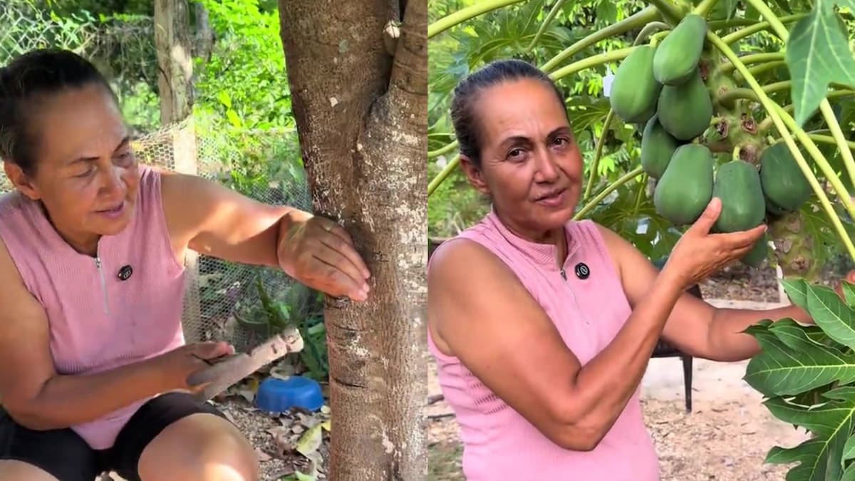 Mariluz del Campo enseña cómo colocar un clavo en un árbol frutal.