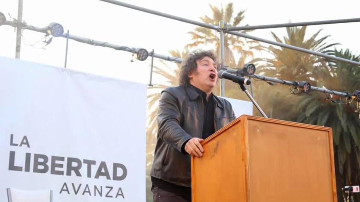 Javier Milei, diputado. Foto: NA.