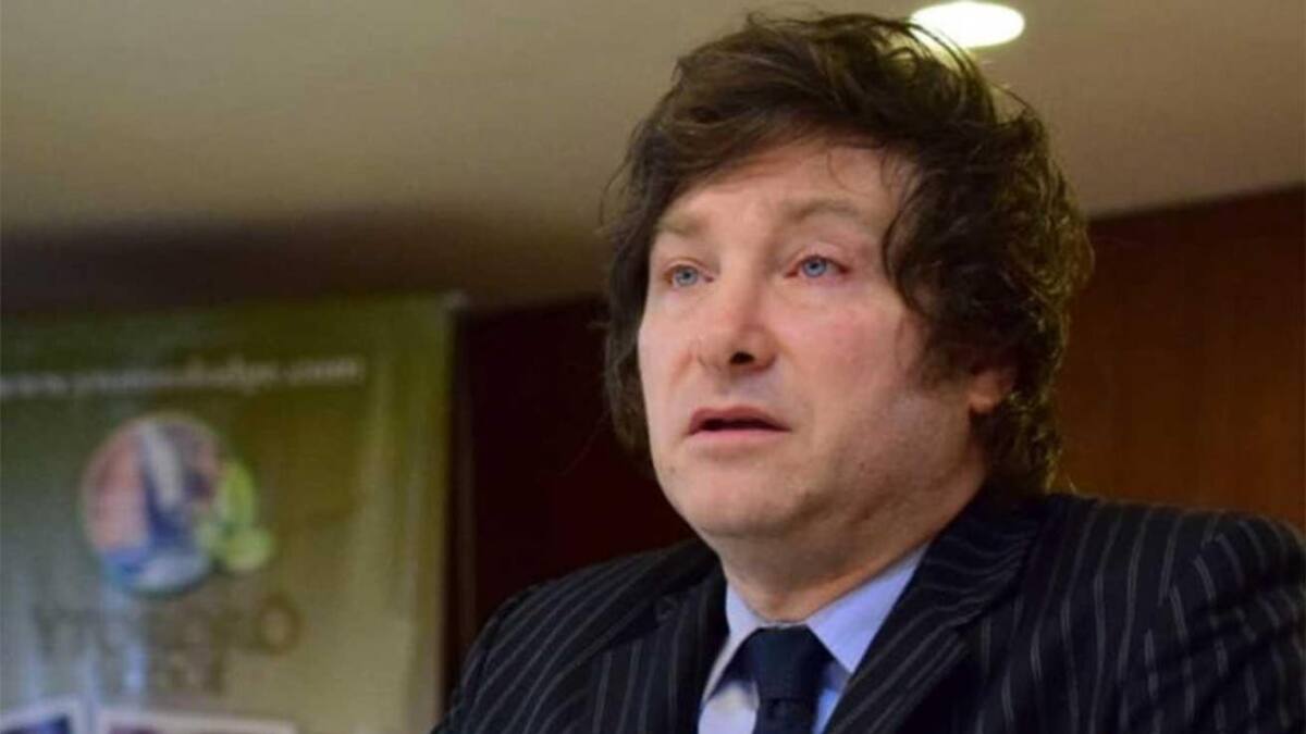 Javier Milei, economista