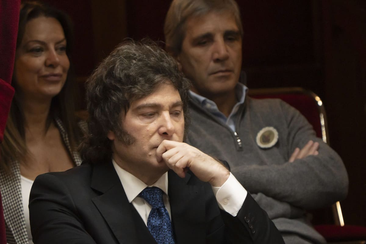 Javier Milei en el Congreso.