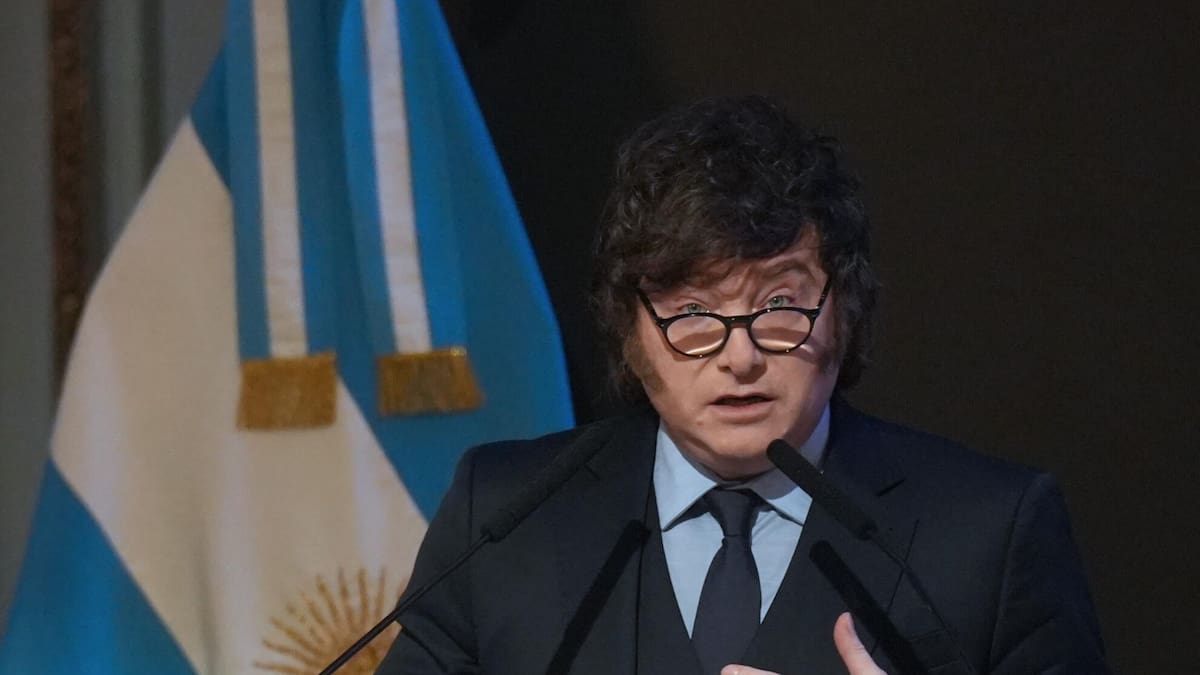 Javier Milei: “Estamos pagando muy caro la locura de los pañuelitos verdes”