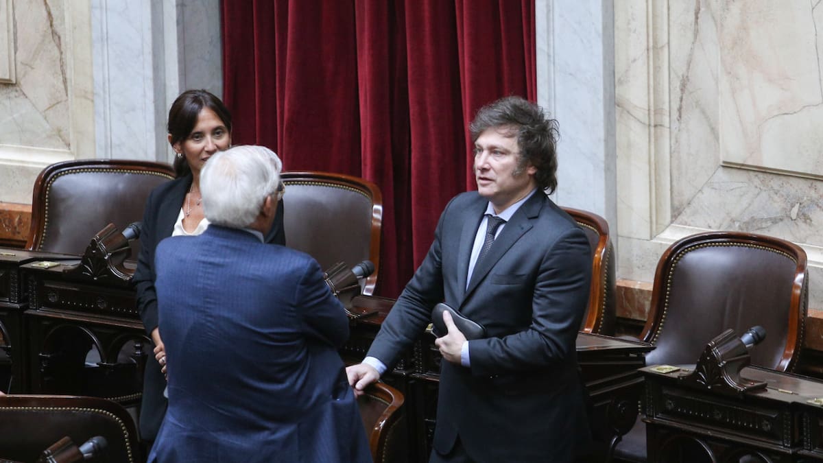 Javier Milei en la Asamblea Legislativa en el Congreso. Foto: NA.