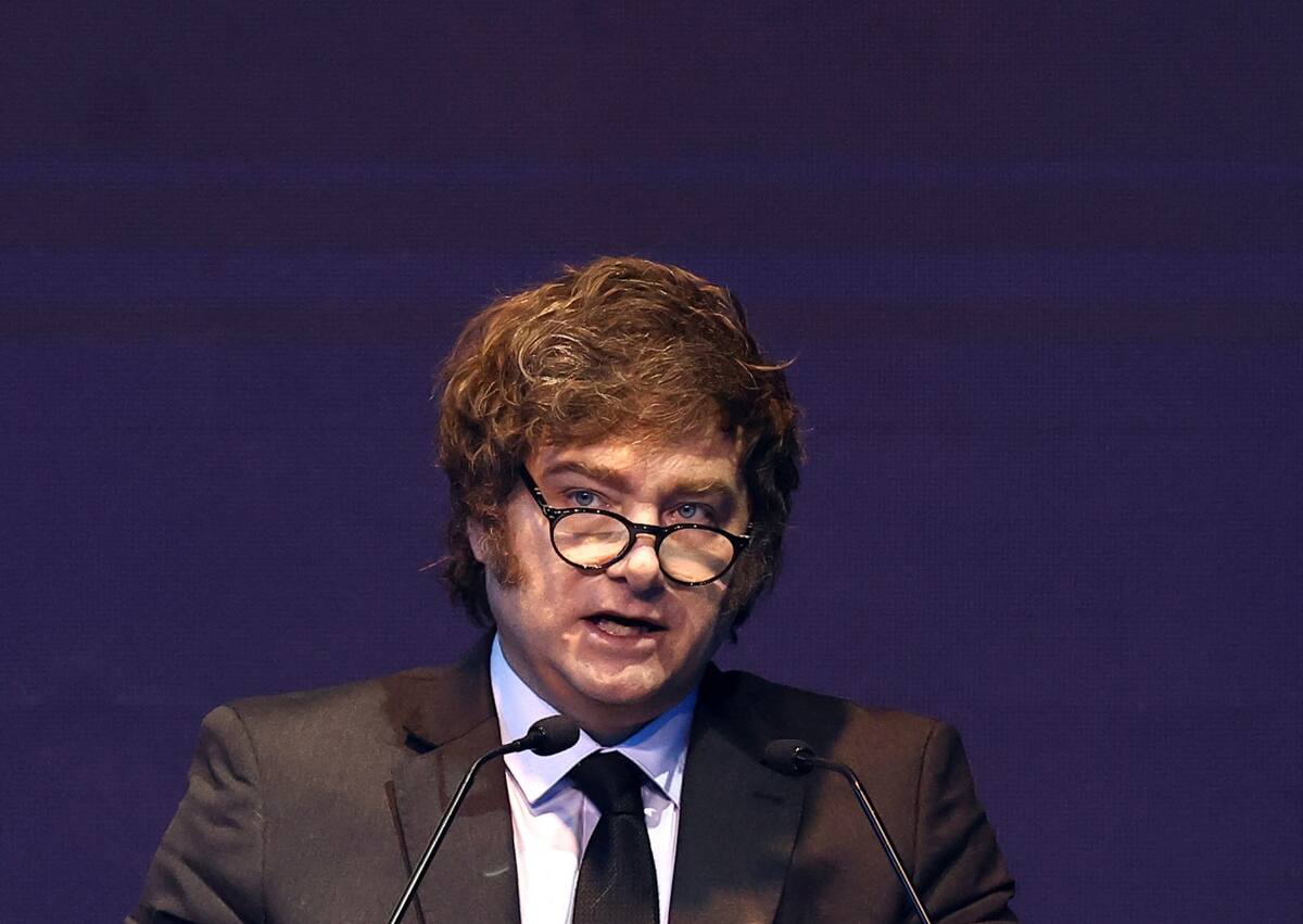 Javier Milei. Foto: Reuters/Agustín Marcarian.