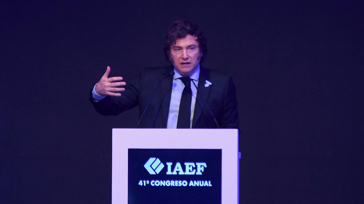 Javier Milei habló en el cierre del 41° Congreso Anual del IAEF. Foto: NA.