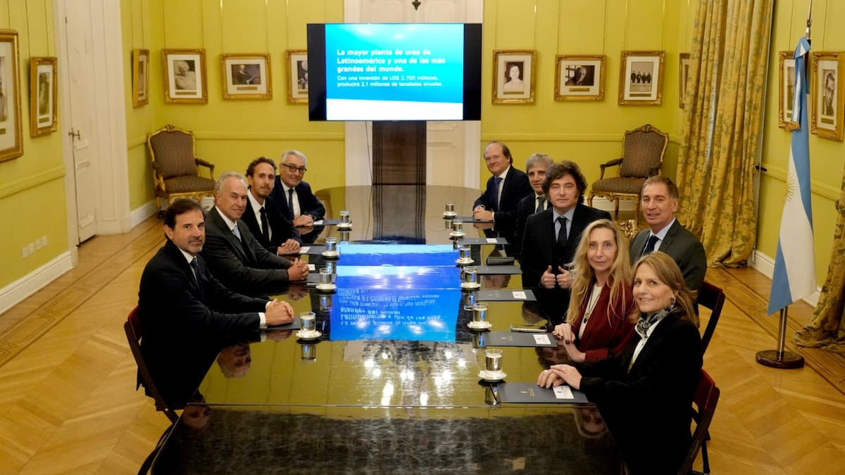 Visto bueno de Milei: Pampa Energía invertirá 2.700 millones de dólares en una planta de urea tras ser aprobada por el RIGI