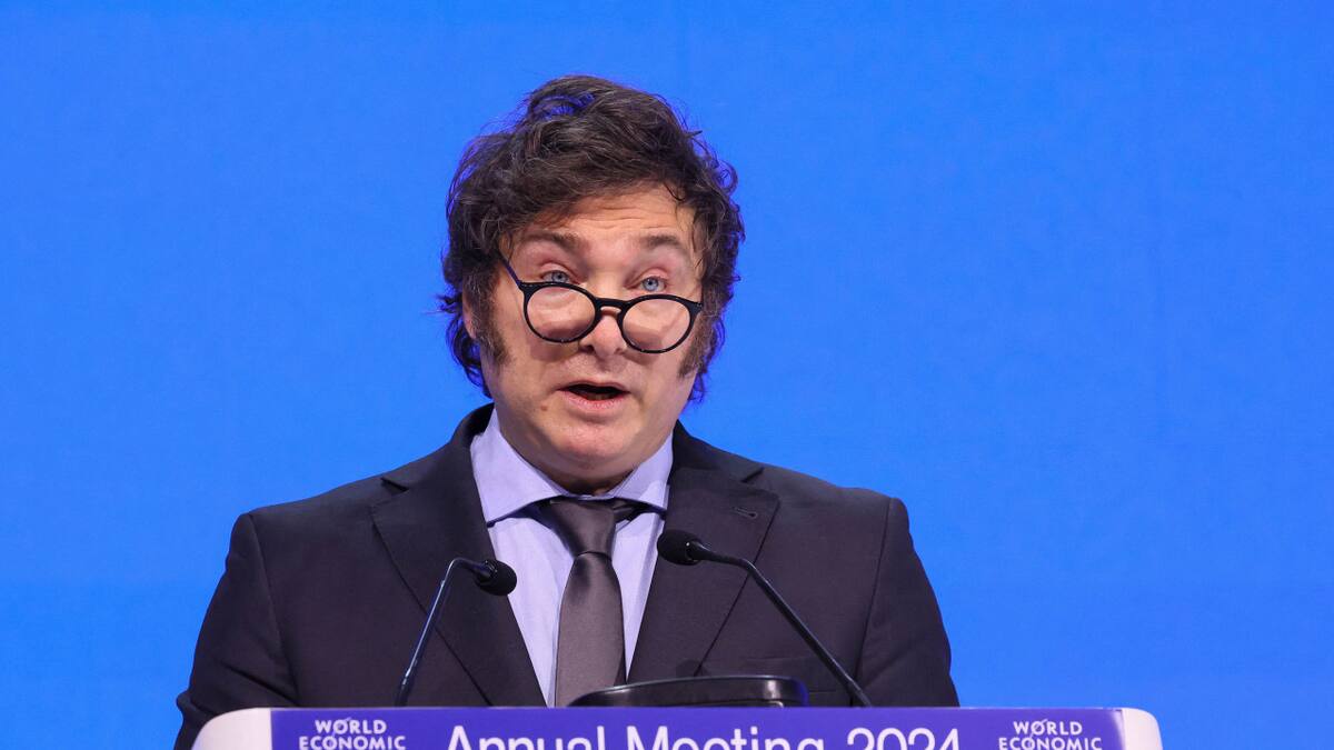 Javier Milei, presidente de la Nación. Foto: NA.