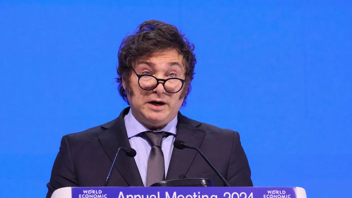 Javier Milei, presidente de la Nación. Foto: NA.