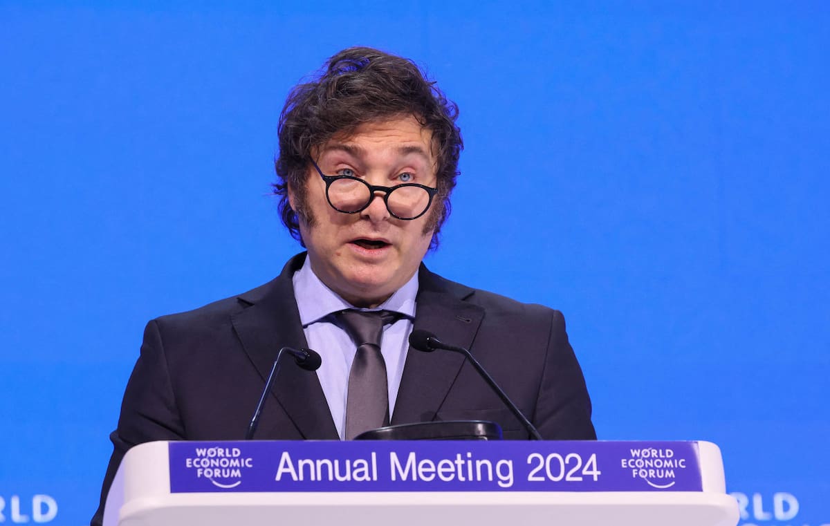 Javier Milei, presidente de la Nación. Foto: NA.