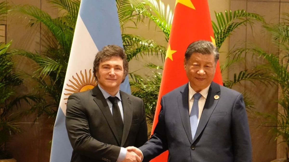 Javier Milei y Xi Jinping. Foto: Instagram JMilei.