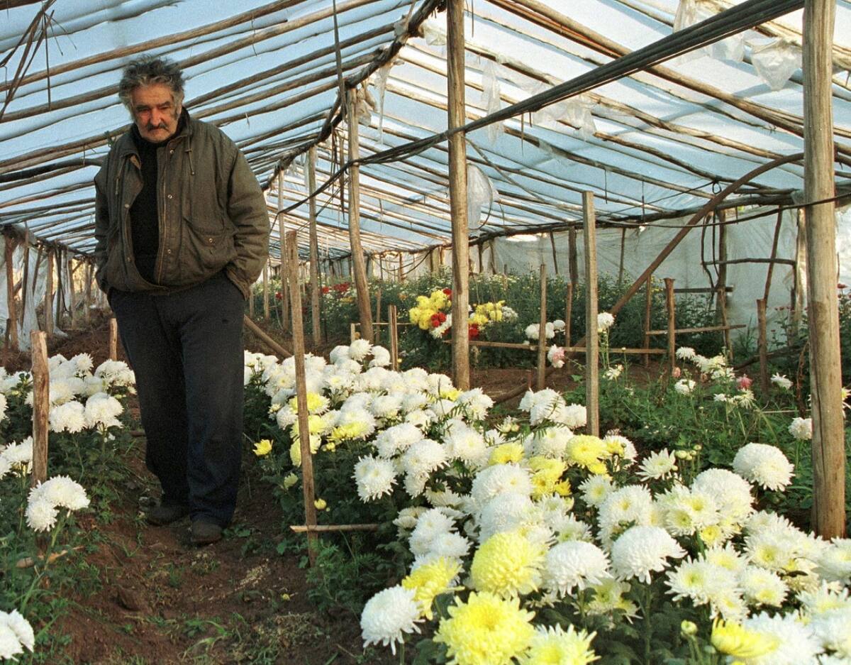 José "Pepe" Mujica en su chacra de Montevideo. Foto: Reuters (Andrés Stapff)