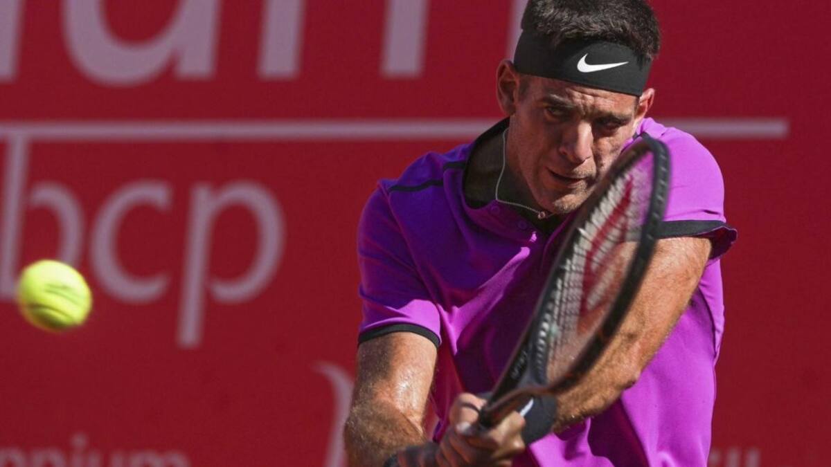 Juan Martín Del Potro