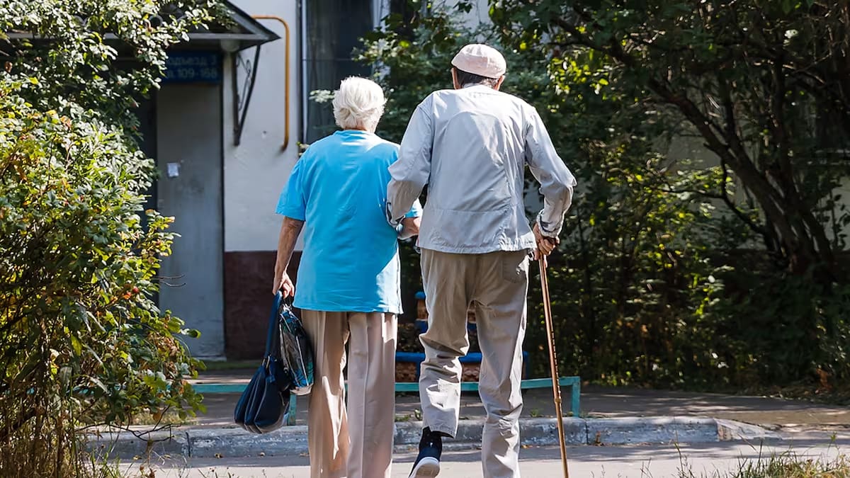 PUAM en junio 2026: cuánto se cobra con aumento, bono de ANSES y quiénes pueden acceder