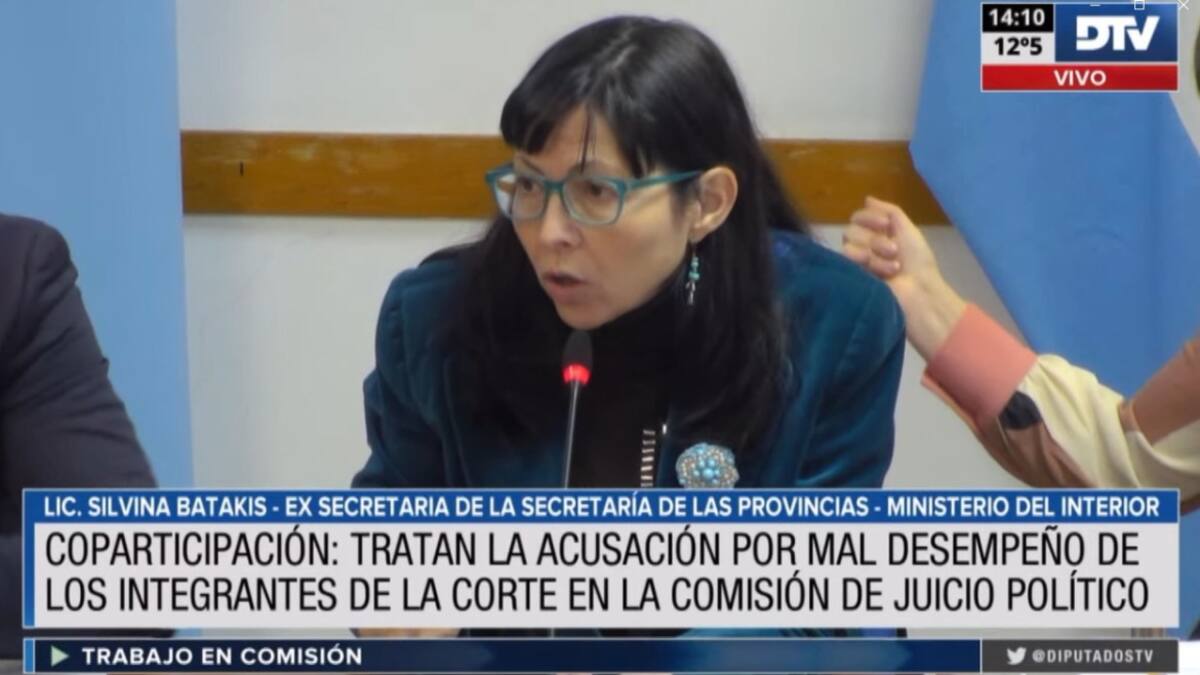 Juicio político, segunda jornada de testimonios sobre el fallo por la coparticipación federal. Foto: DTV.