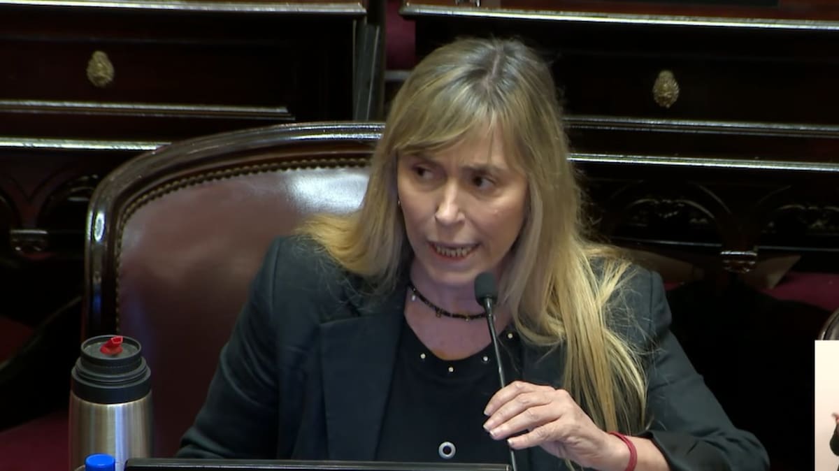 Juliana Di Tullio Senadora del PJ por Buenos Aires.