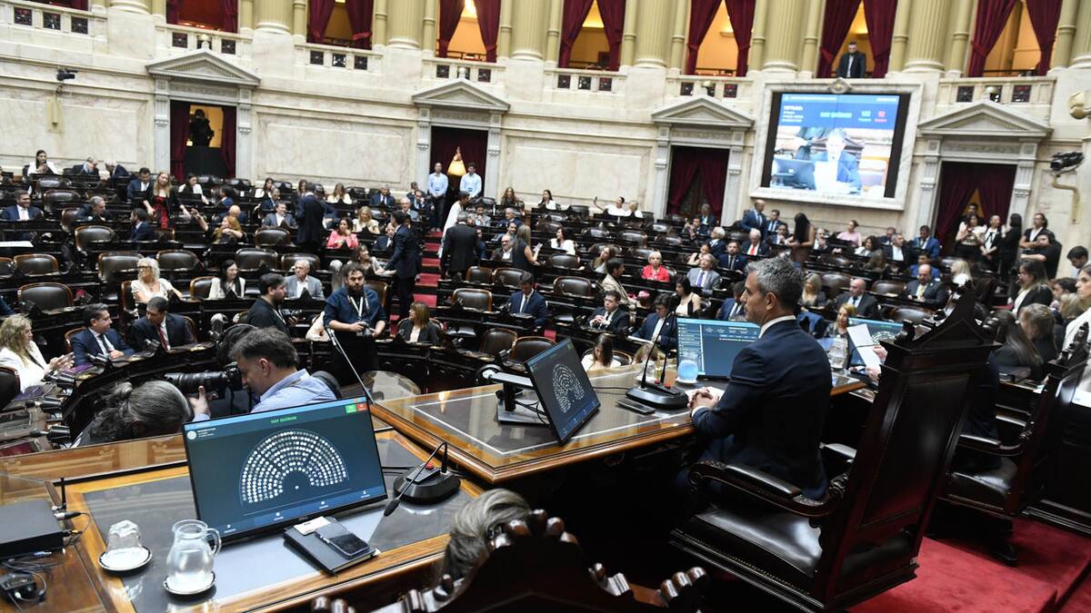 Sesiones extraordinarias en Diputados.