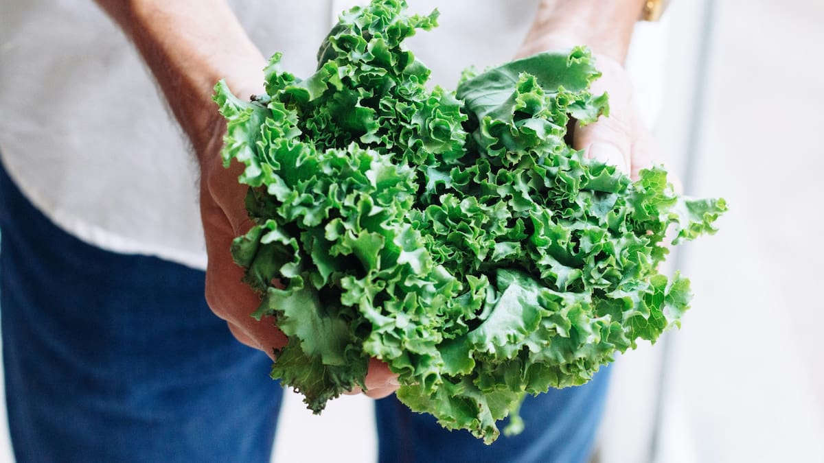 Kale, verduras, salud. Foto Unsplash.