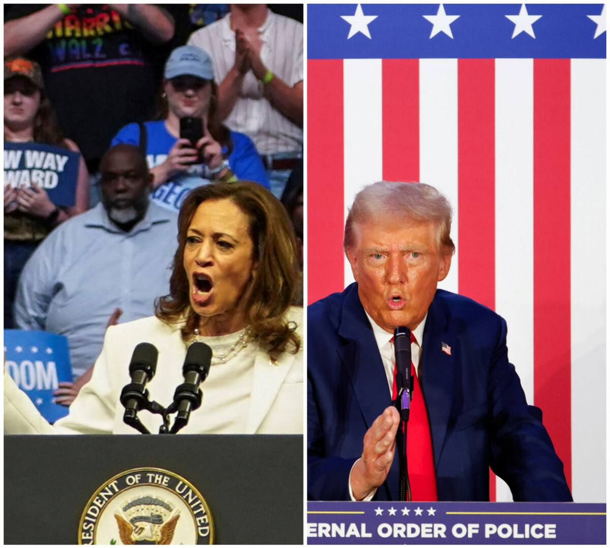 Kamala Harris y Donald Trump. Foto: Reuters.