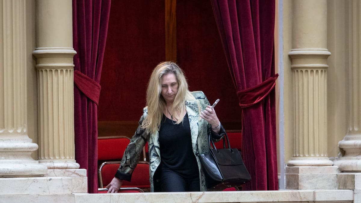 Reformas del Gobierno: cuál es el proyecto que más le interesa aprobar a Karina Milei y por qué está demorado en el Congreso