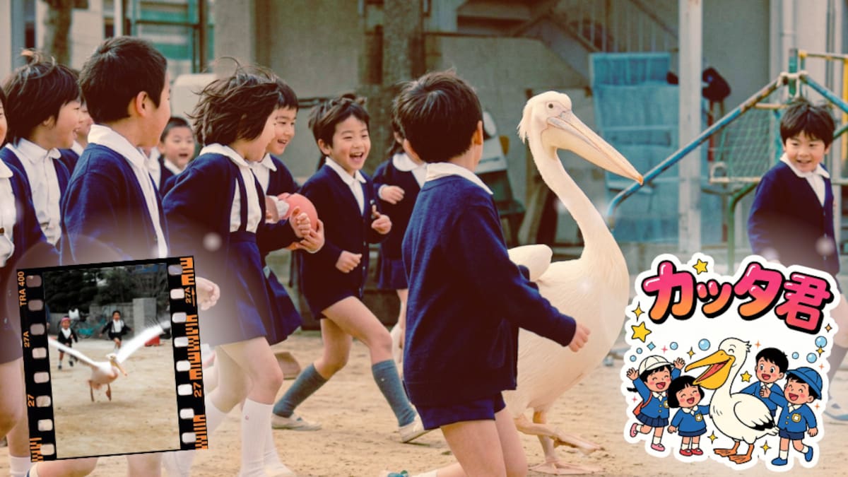 Volaba solo hasta un jardín de infantes para jugar con los niños: la tierna historia de Katta-kun, el pelícano más querido de Japón