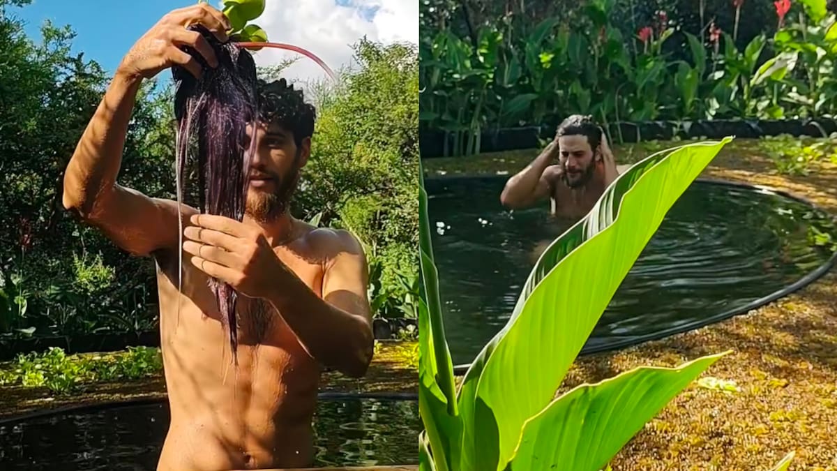 Así es la biopileta de Jerónimo, el hijo de Julián Weich: tanque australiano, plantas acuáticas y agua de lluvia