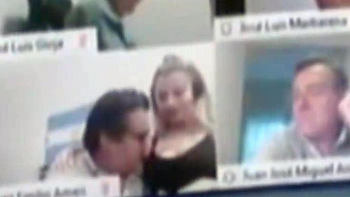 La Cámara de Diputados aprobó suspensión inmediata del diputado nacional del Frente de Todos por Salta Juan Emilio Ameri por ser registrado en plena sesión virtual manteniendo una escena de sexo con una mujer, NA