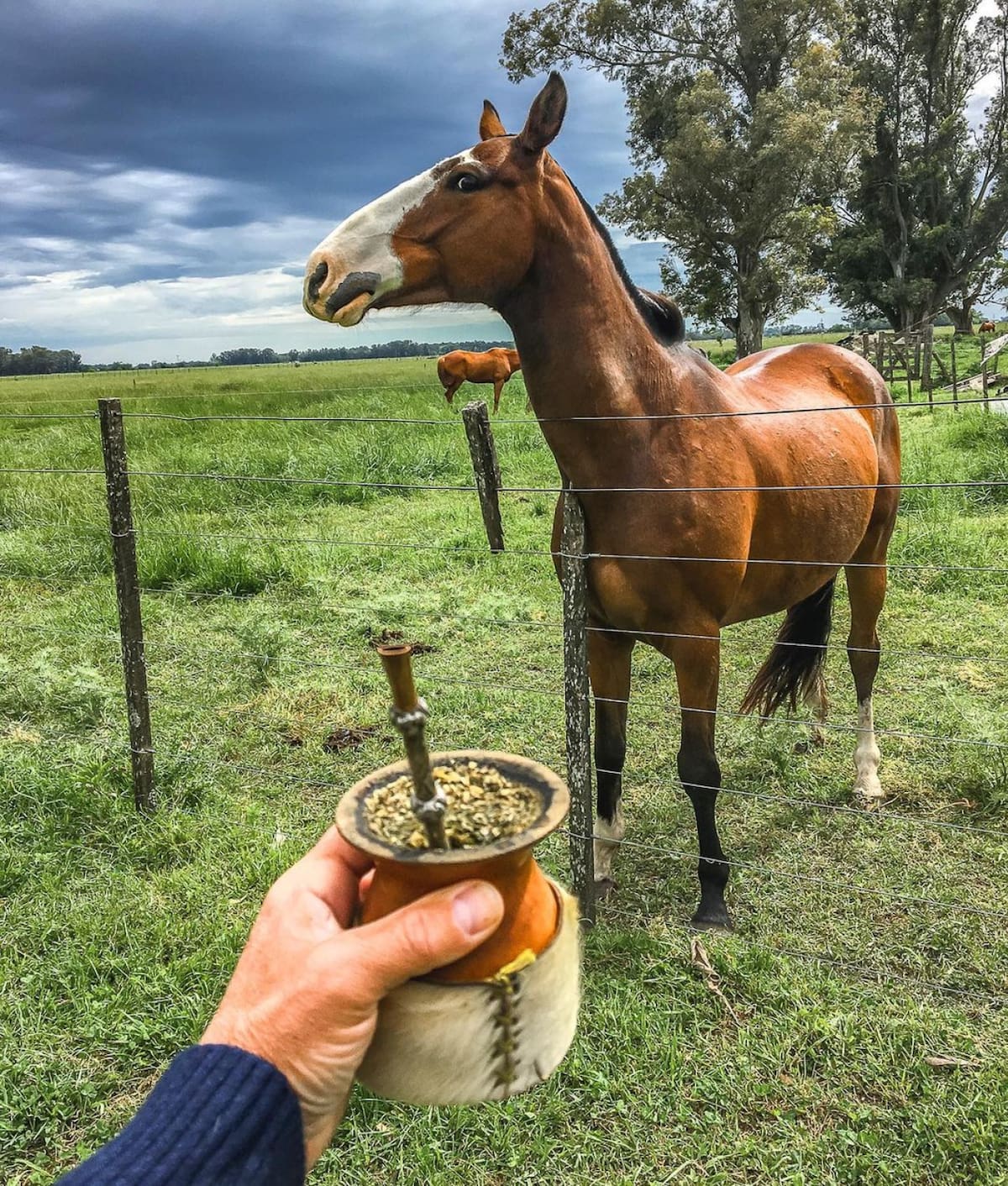 La Choza, Buenos Aires. Foto Instagram @diegoenelcamino
