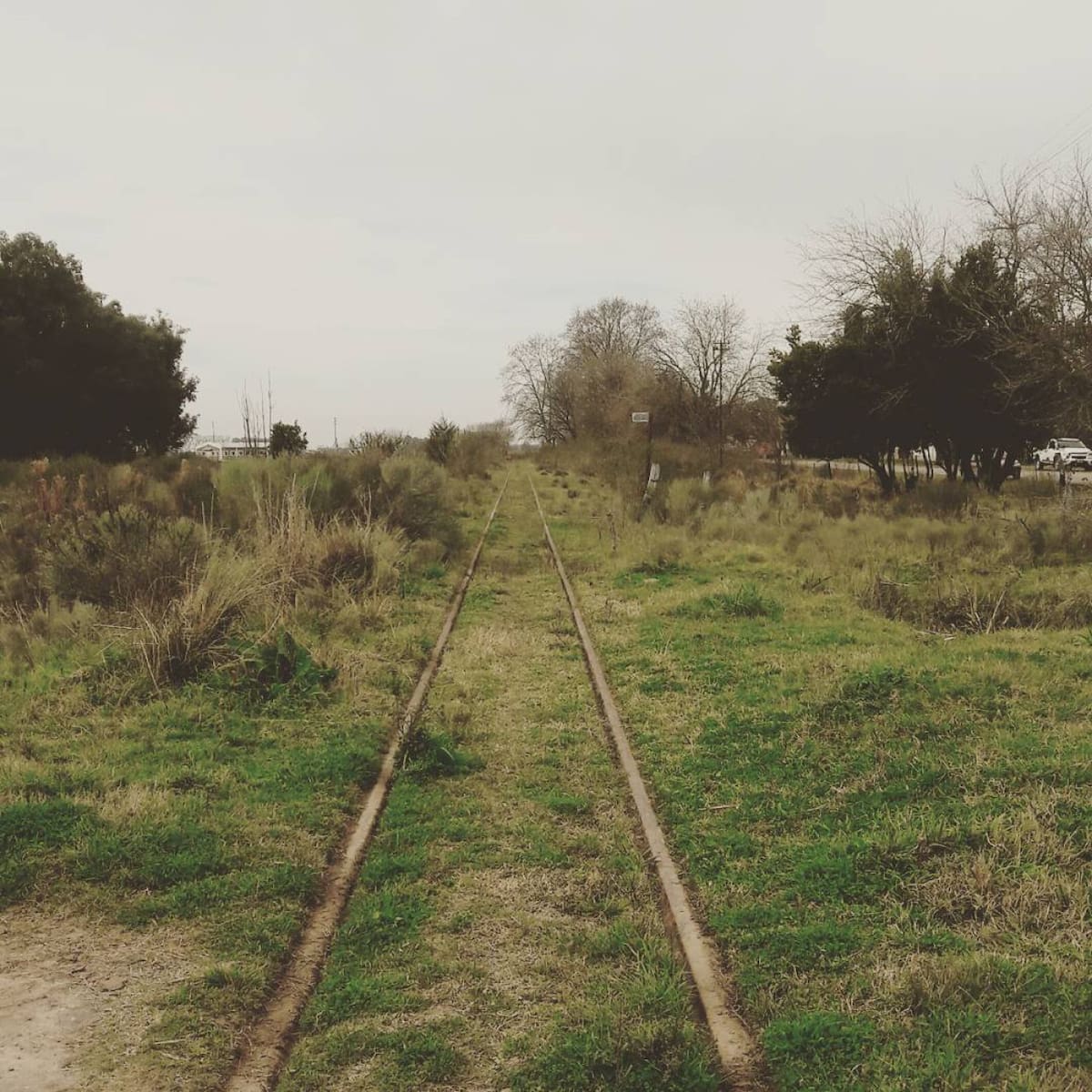 La Choza, Buenos Aires. Foto Instagram @noemi.giordano.art