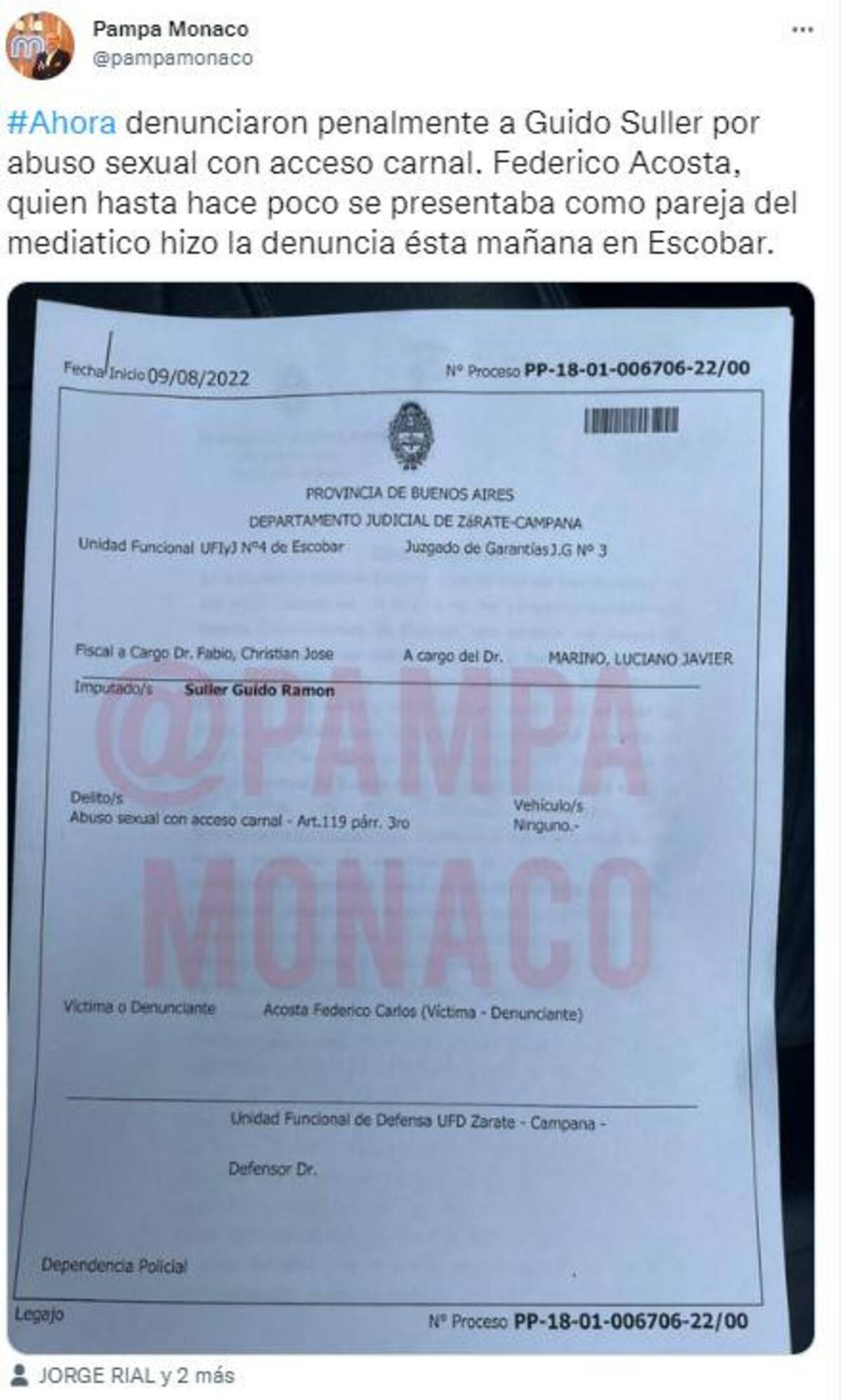 La denuncia a Guido. Foto: Twitter/pampamonaco.