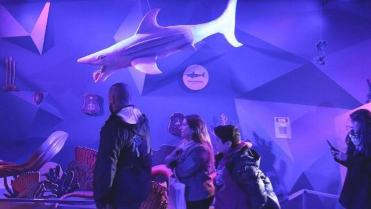La Estación Oceánica Ecoparque fue una de las más visitadas en la Noche de los Museos.Foto: NA.