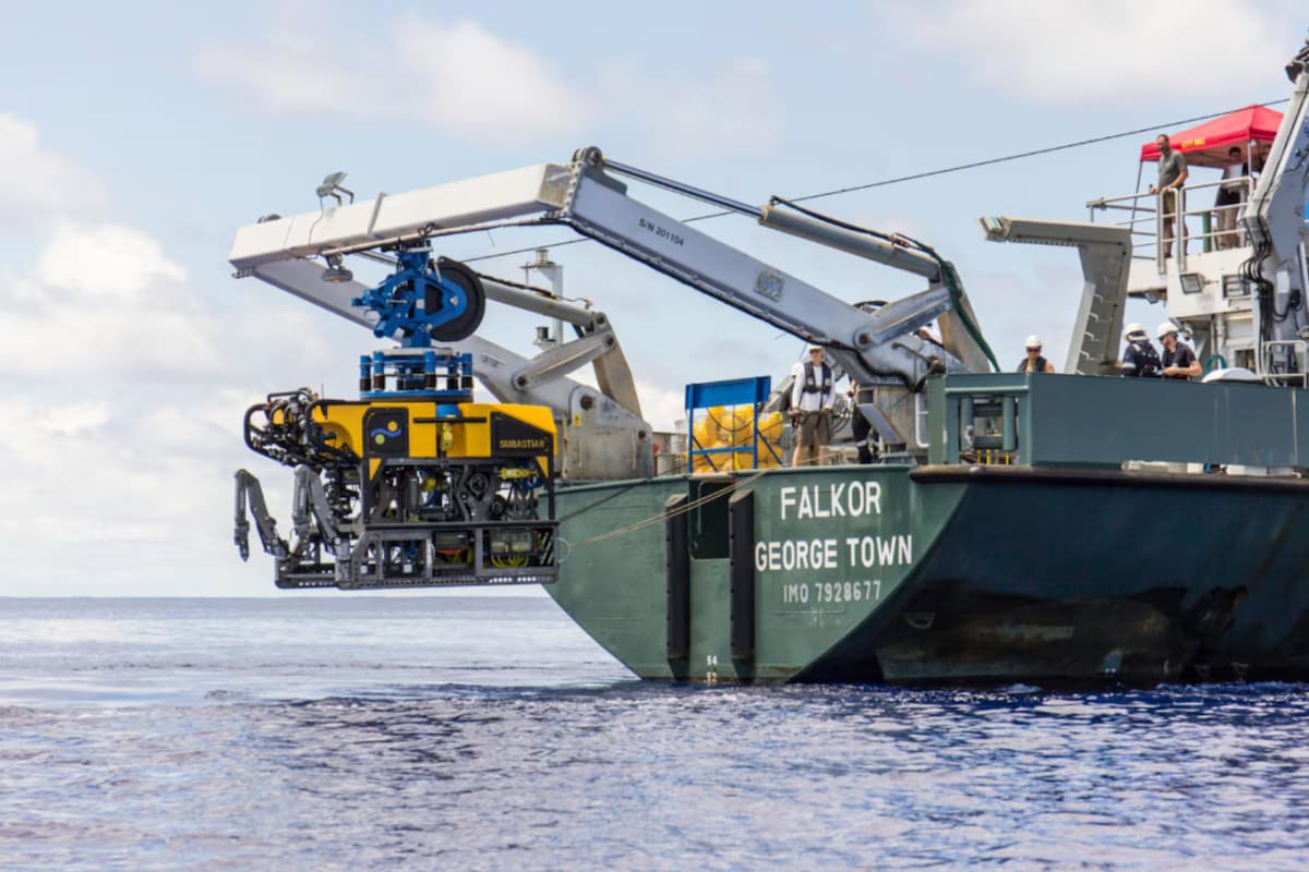 La expedición se realizó con el vehículo remoto ROV SuBastian. Foto: Schmidt Ocean Institute