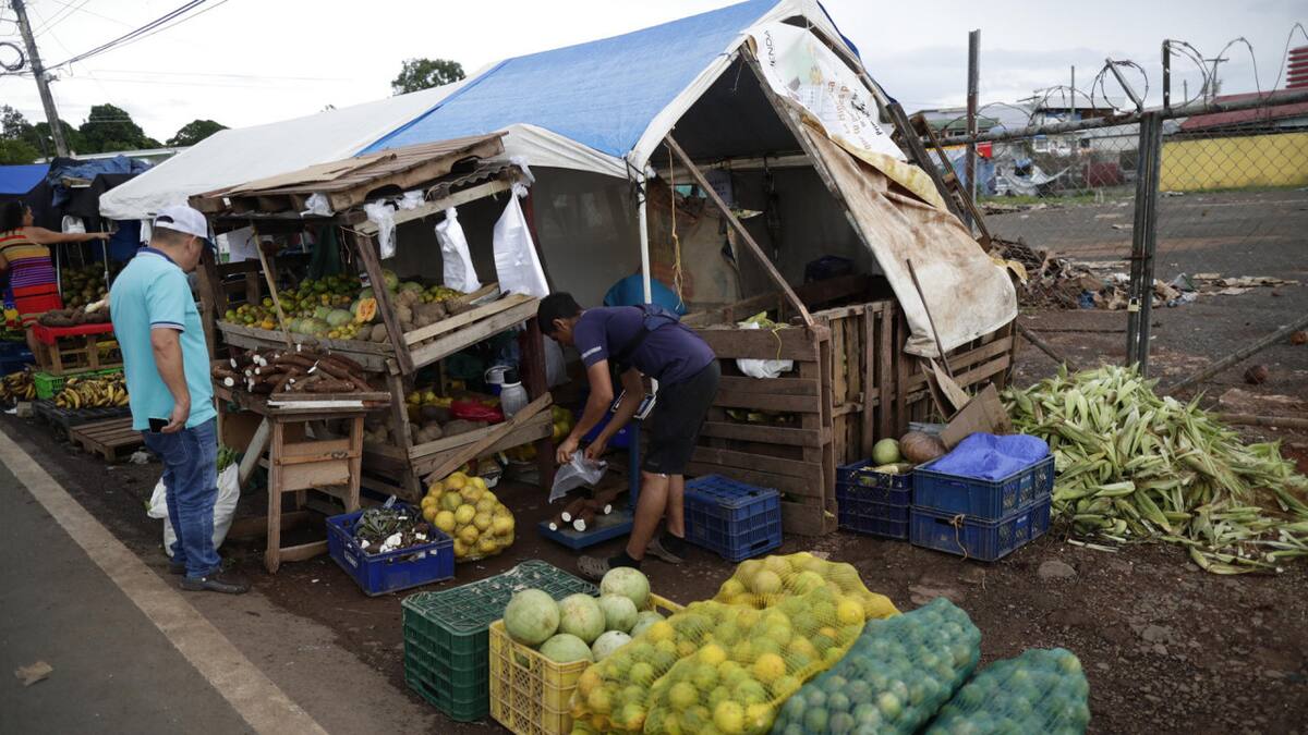 La FAO acompaña a los países de la región en la promoción de las dietas saludables mediante instrumentos de apoyo a políticas públicas. Foto: EFE.
