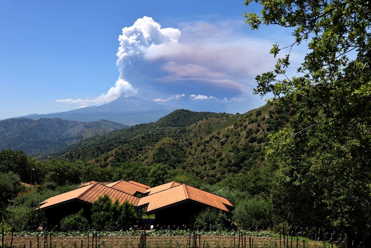 La fertilidad de Etna y sus suelos volcánicos son ideales para cultivos. Foto: Reuters (Joachim Herrmann)