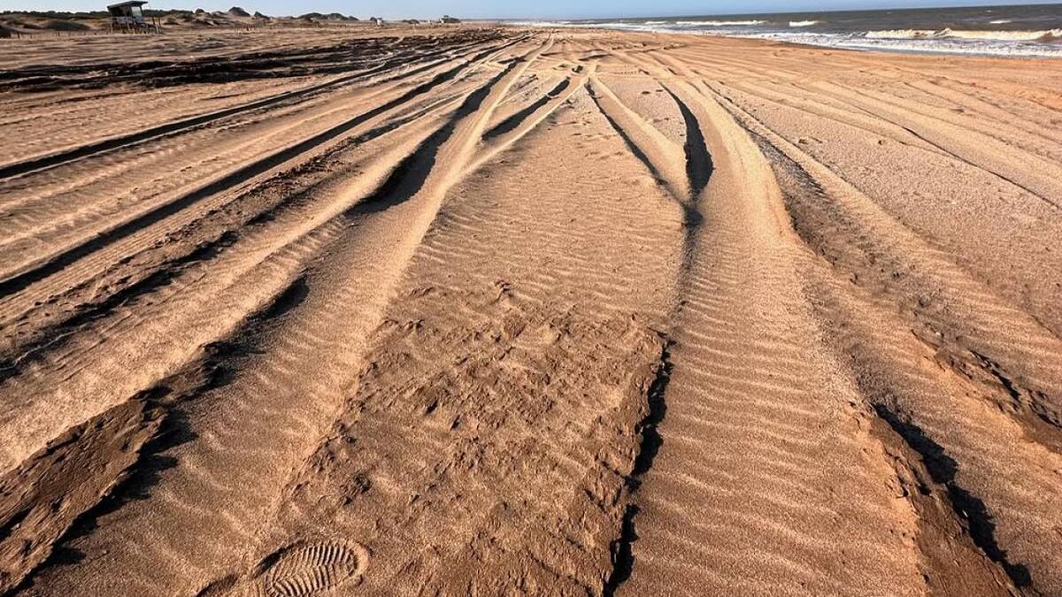 Inconsciencia al volante: detuvieron a un reconocido DJ por correr picadas en una playa de Pinamar