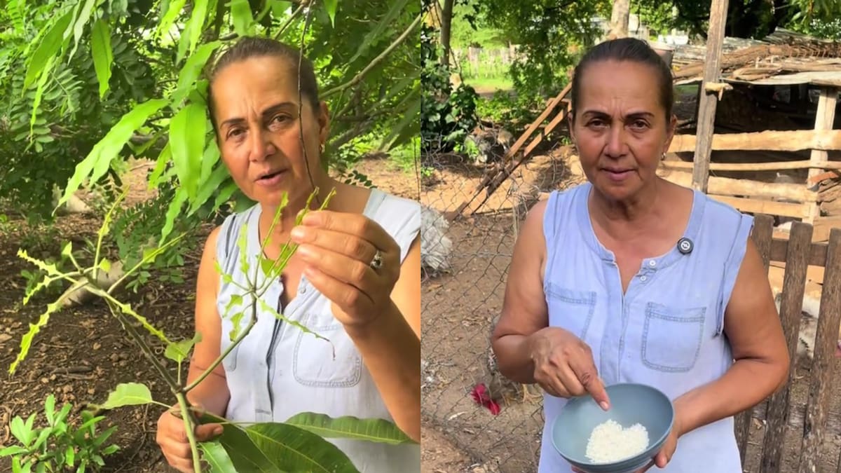 Mariluz del Campo enseña cómo terminar con las hormigas cortadoras.