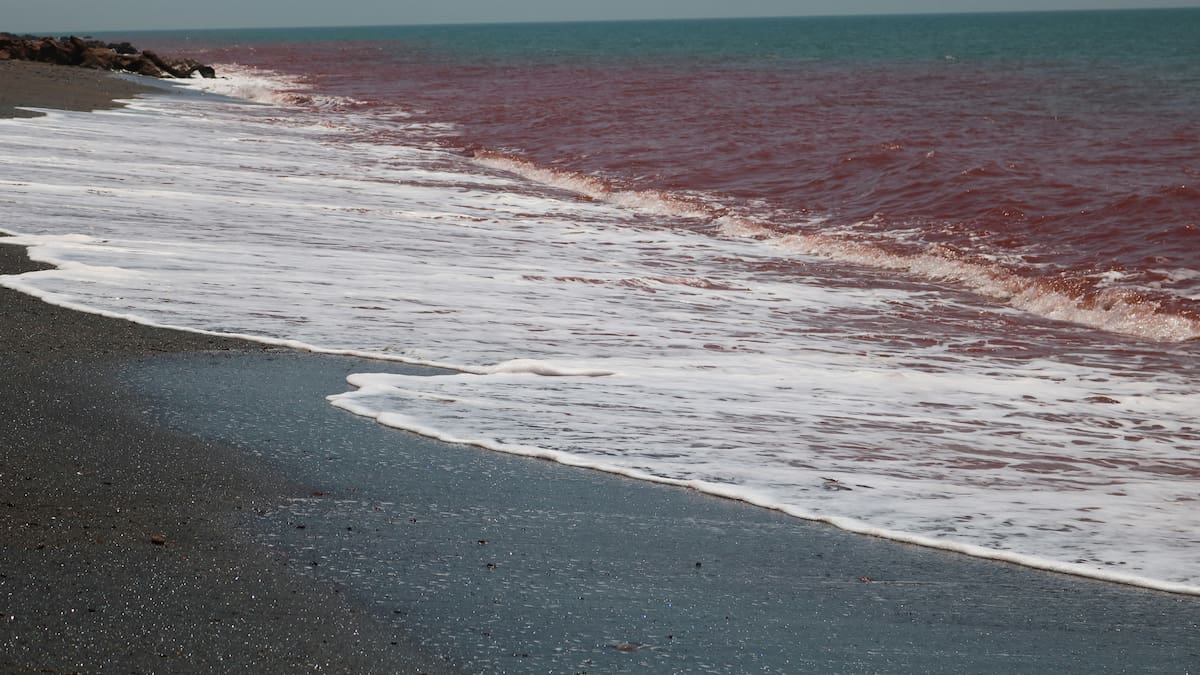 La isla de Ormuz es conocida por el intenso color rojo de su suelo y sus playas.