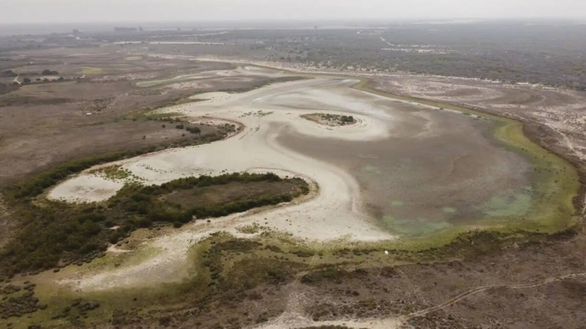 La laguna de Santa Olalla, en el parque natural de Doñana, España. Foto: Reuters.