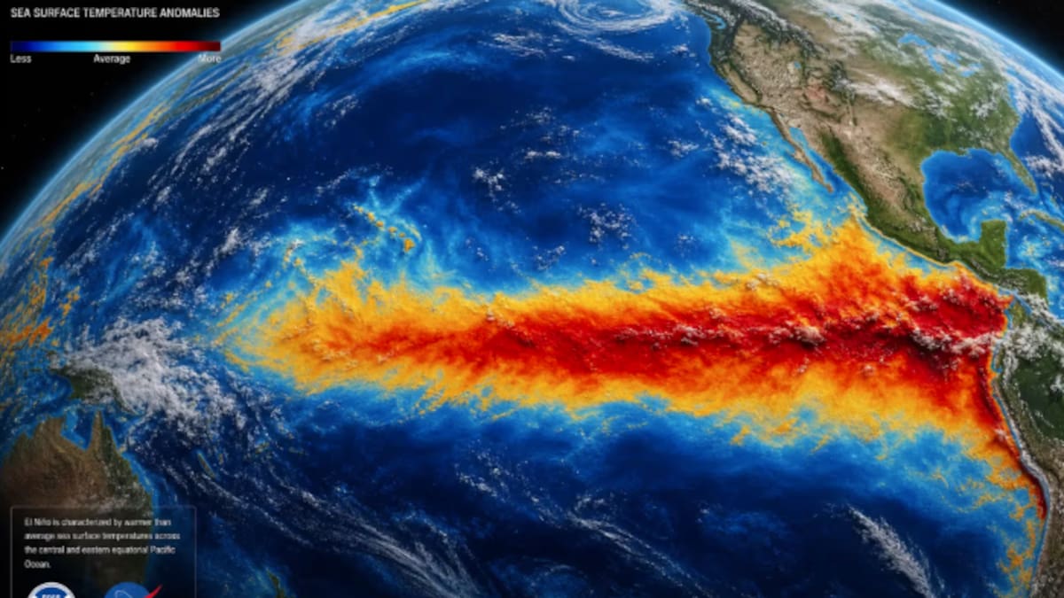 Es oficial el comienzo de El Niño en Argentina: se esperan fuertes tormentas de intensidad “inédita” y más lluvia de lo normal