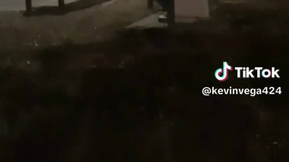 La maquina que se movía sola. Foto: TikTok/@kevinvega424