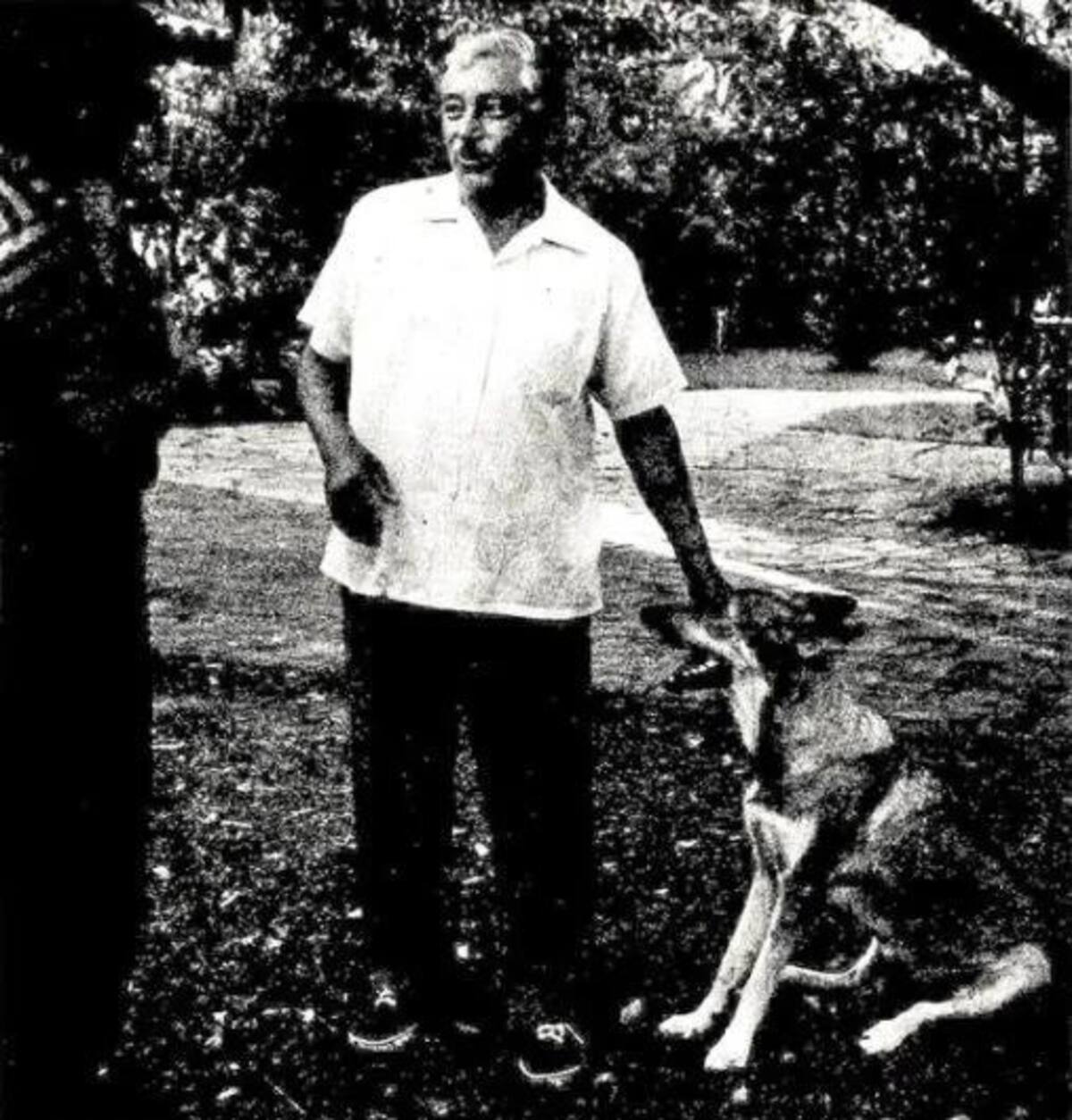 La perra Rina ayudó a la policía a encontrar al asesino