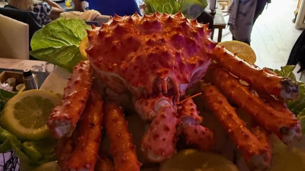 El bodegón de barrio con las mejores rabas, platos muy abundantes y la parrillada de mar más grande de CABA