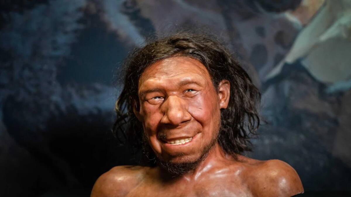 Foto: Reconstrucción del primer neandertal de los Países Bajos, apodado Krijn, se exhibe en el Museo Nacional de Antigüedades de Leiden, Países Bajos EFE/Bart Maat. EFE