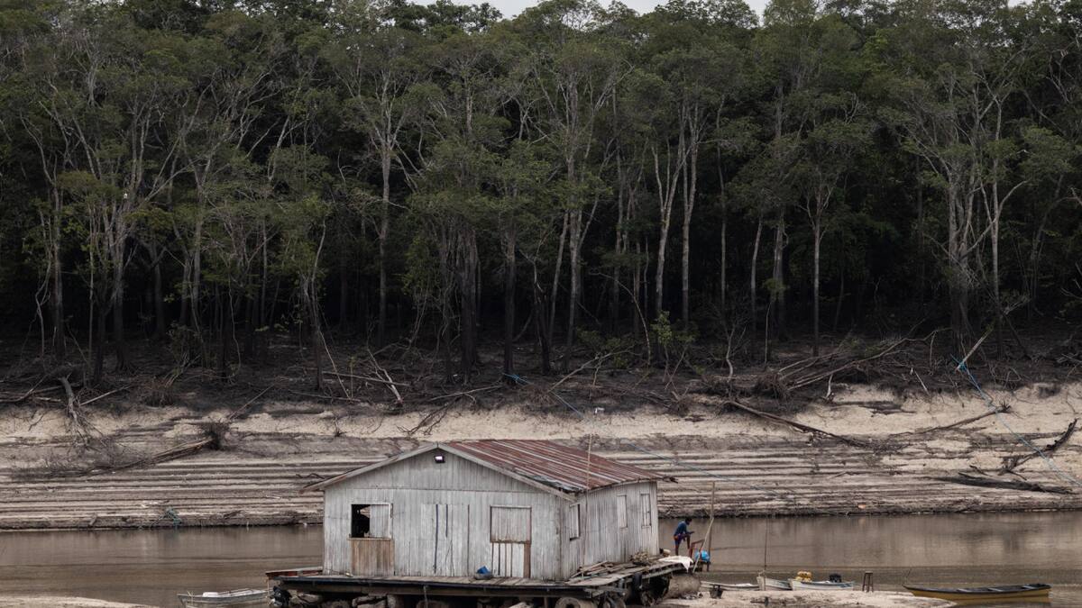 La superficie de agua en la principal zona de la Amazonía brasileña cae al menor nivel en 5 años. EFE