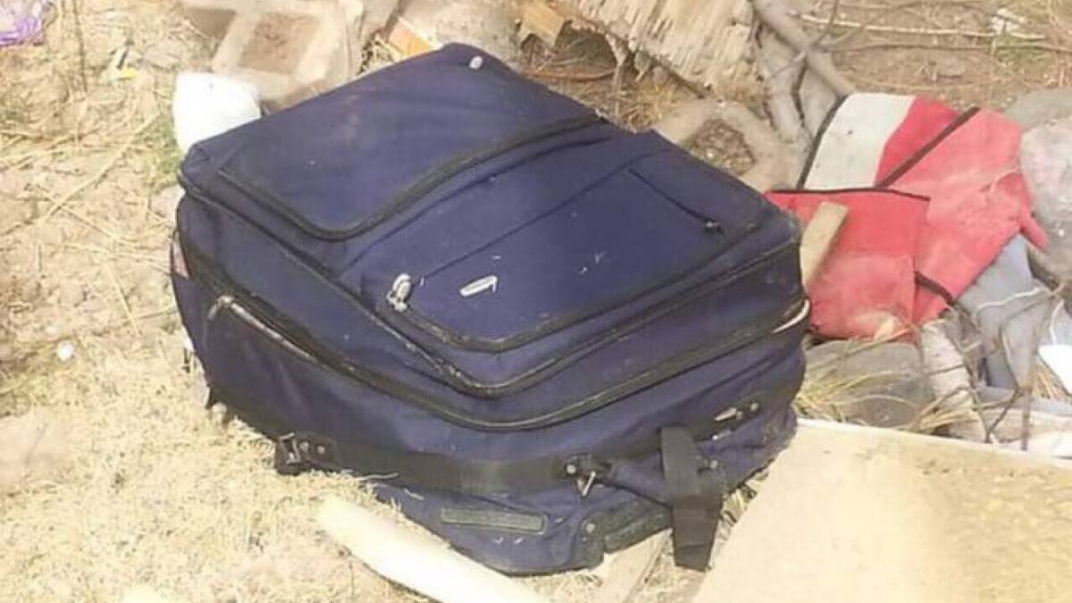 La valija donde se encontraba el padre descuartizado. Foto: NA.