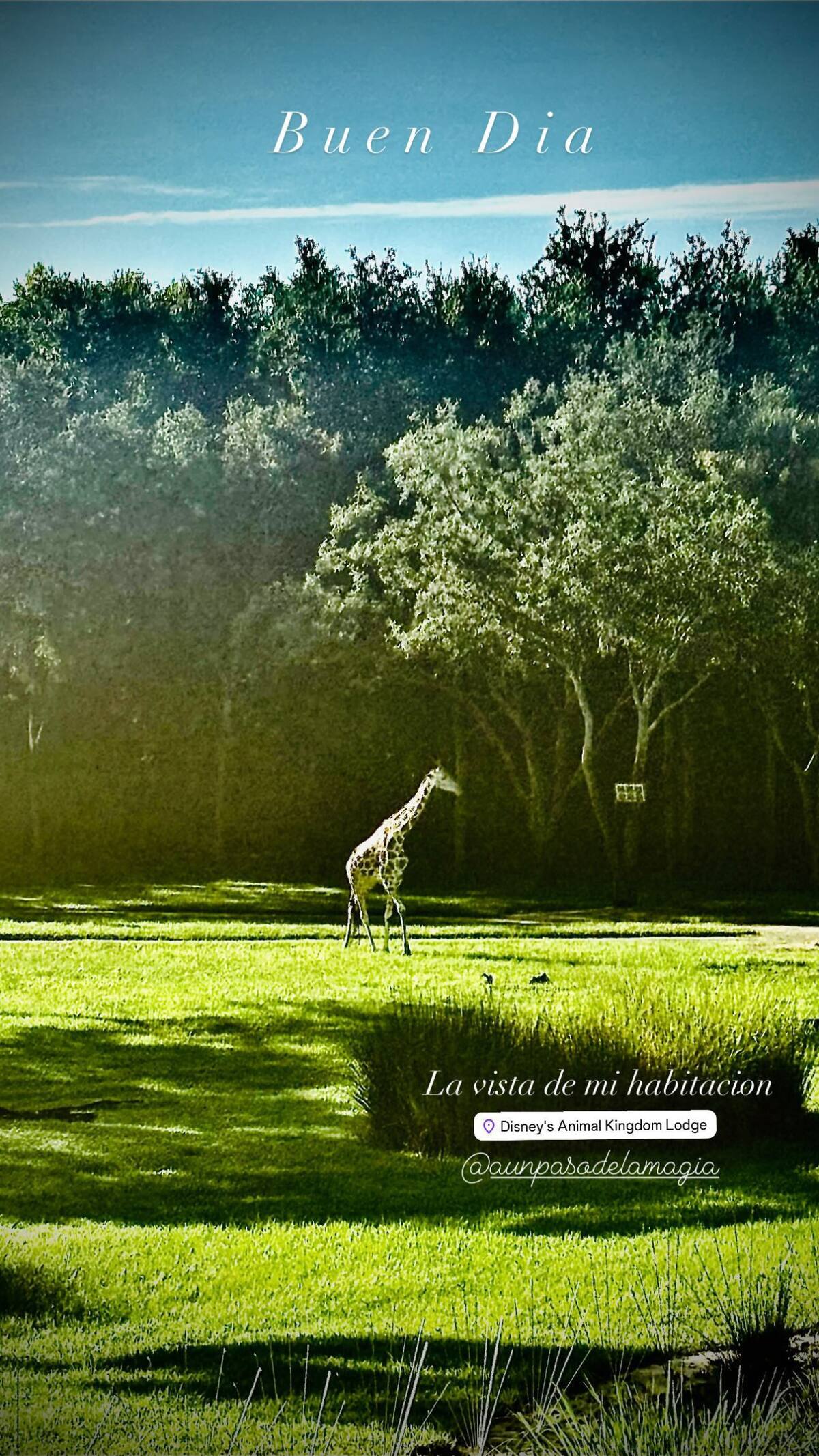 La vista desde el hospedaje de Wanda Nara en Disney. Foto: Instagram.