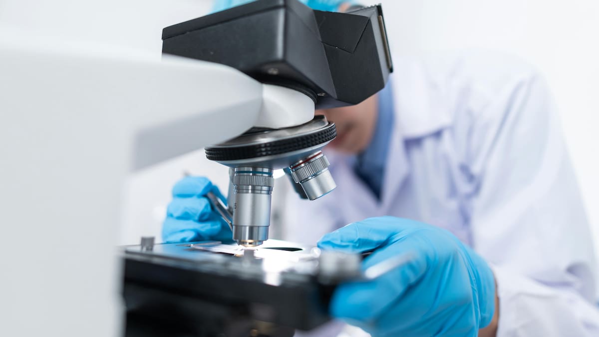 Laboratorio, estudio, investigación, medicina. Foto: Pexels.