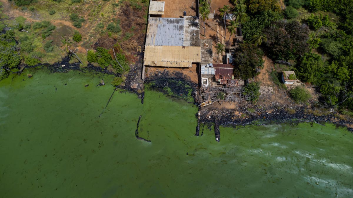 Lago de Maracaibo, Venezuela. Foto: EFE